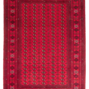 Afghansk teppe - Bukhara - 282 x 200 cm - rød