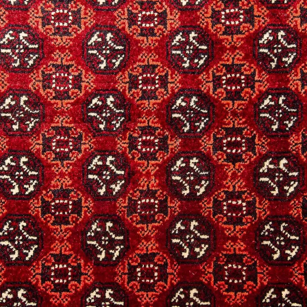 Afghansk teppe - Bukhara - 293 x 201 cm - rød