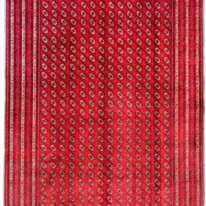 Afghansk teppe - Bukhara - 300 x 195 cm - rød