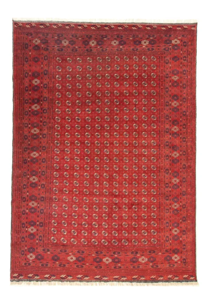 Afghansk teppe - Bukhara - 342 x 243 cm - mørk rød