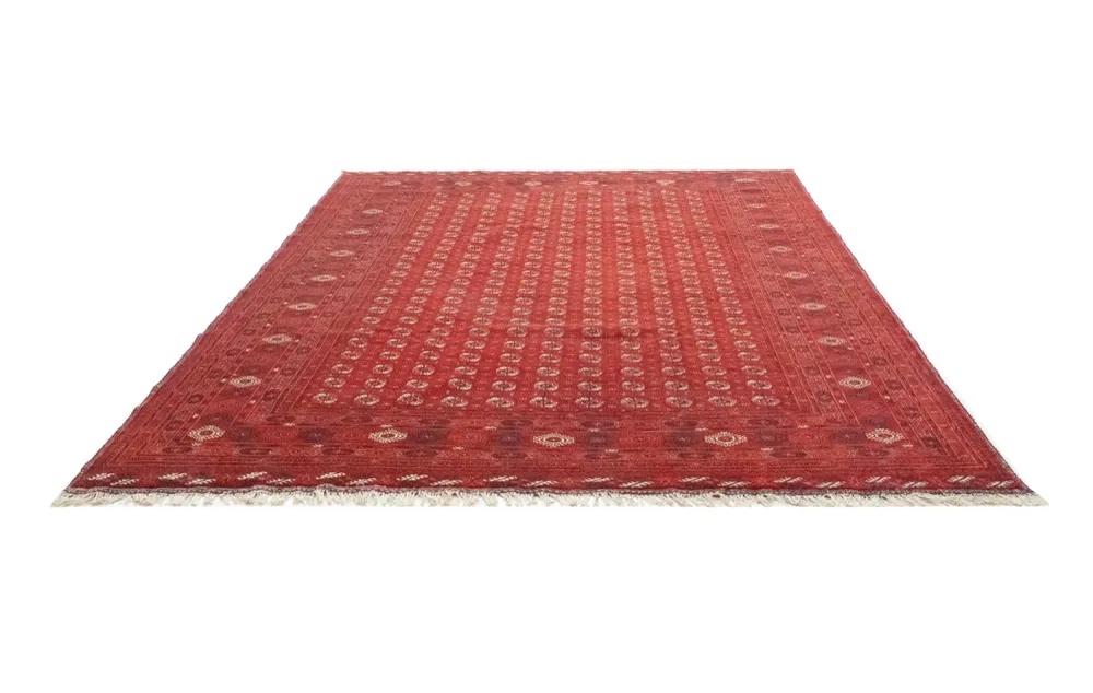 Afghansk teppe - Bukhara - 342 x 243 cm - mørk rød