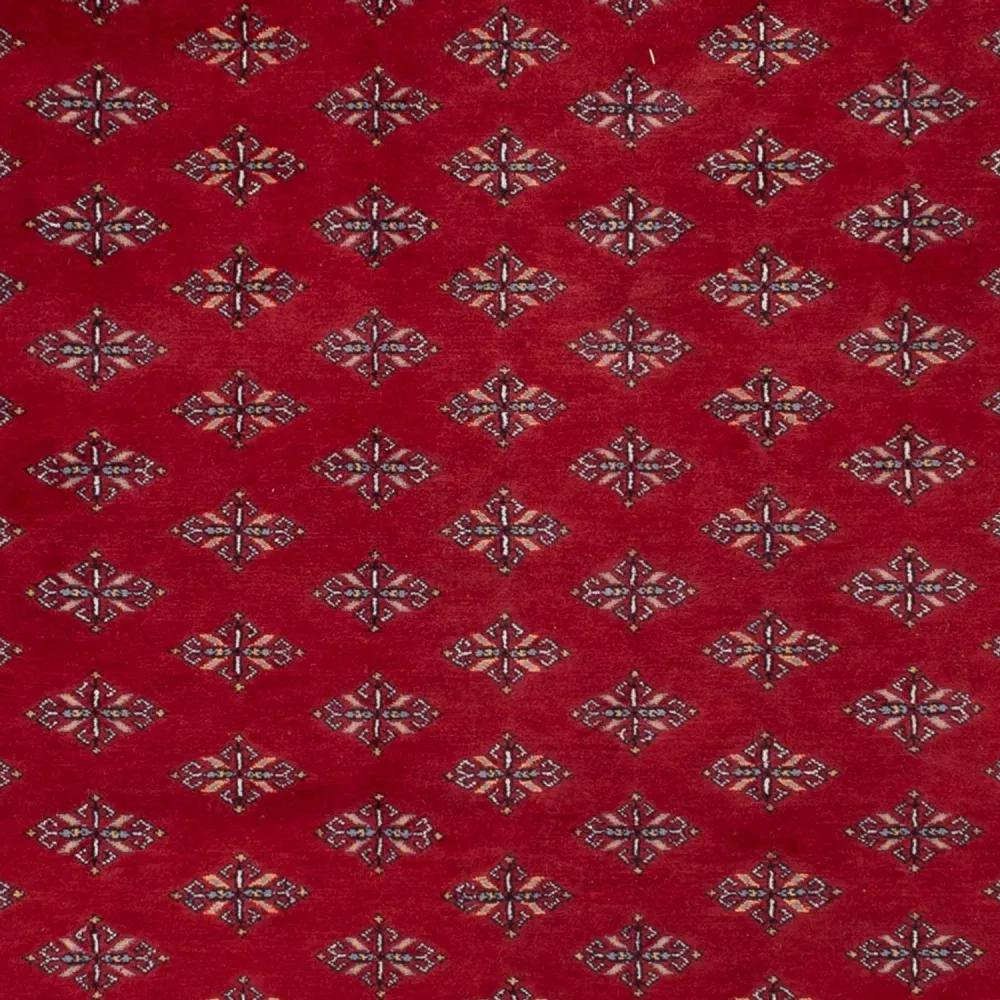 Afghansk teppe - Bukhara - 350 x 253 cm - rød