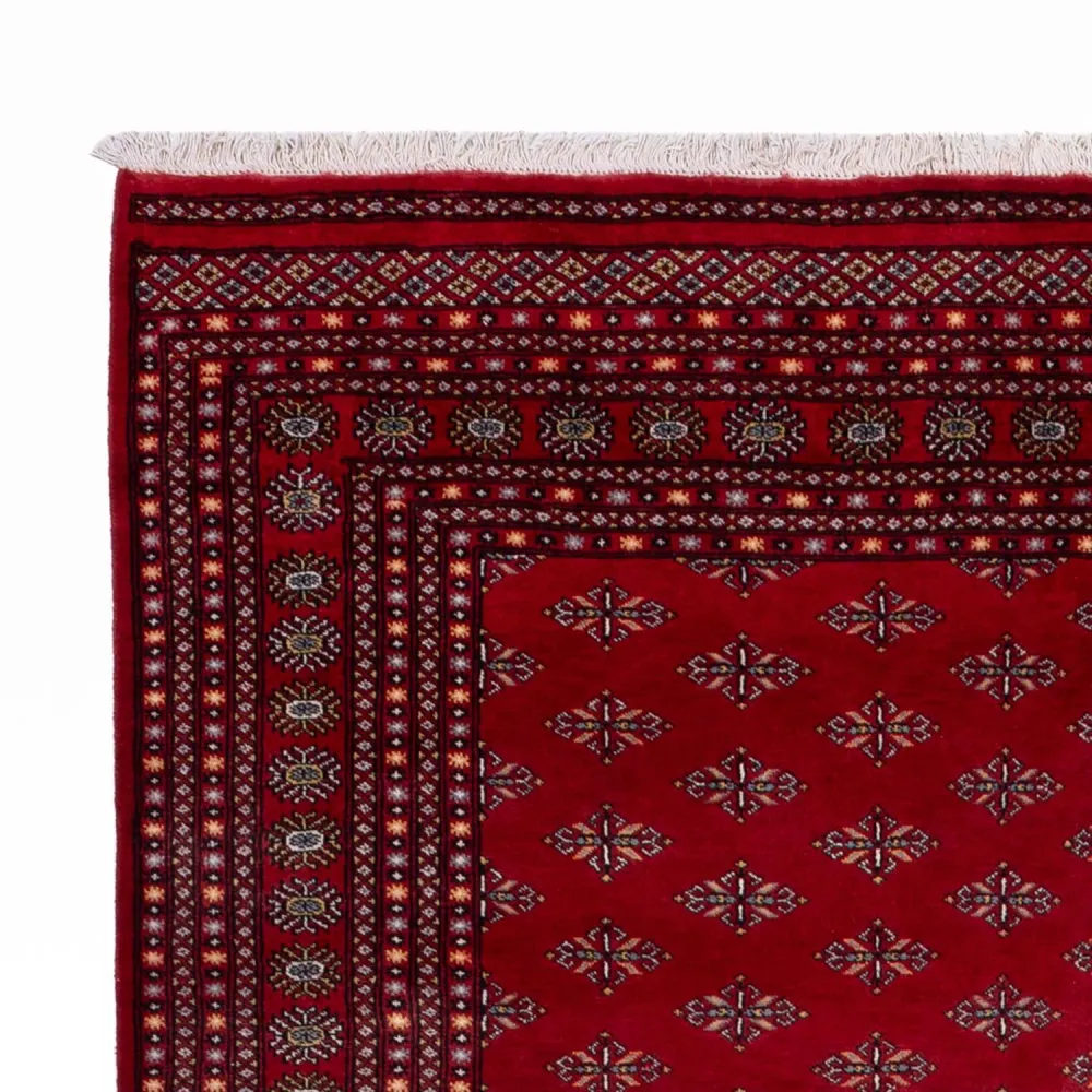 Afghansk teppe - Bukhara - 350 x 253 cm - rød
