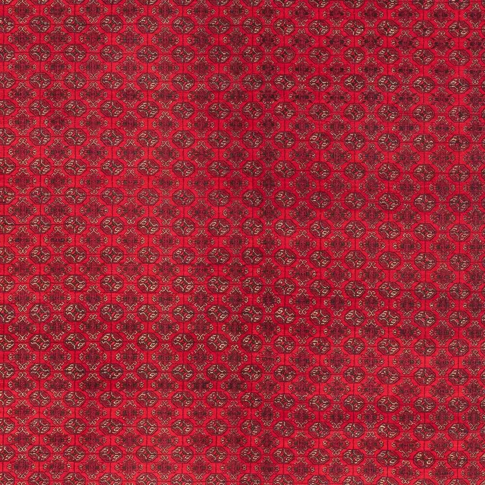 Afghansk teppe - Royal - 404 x 294 cm - rød
