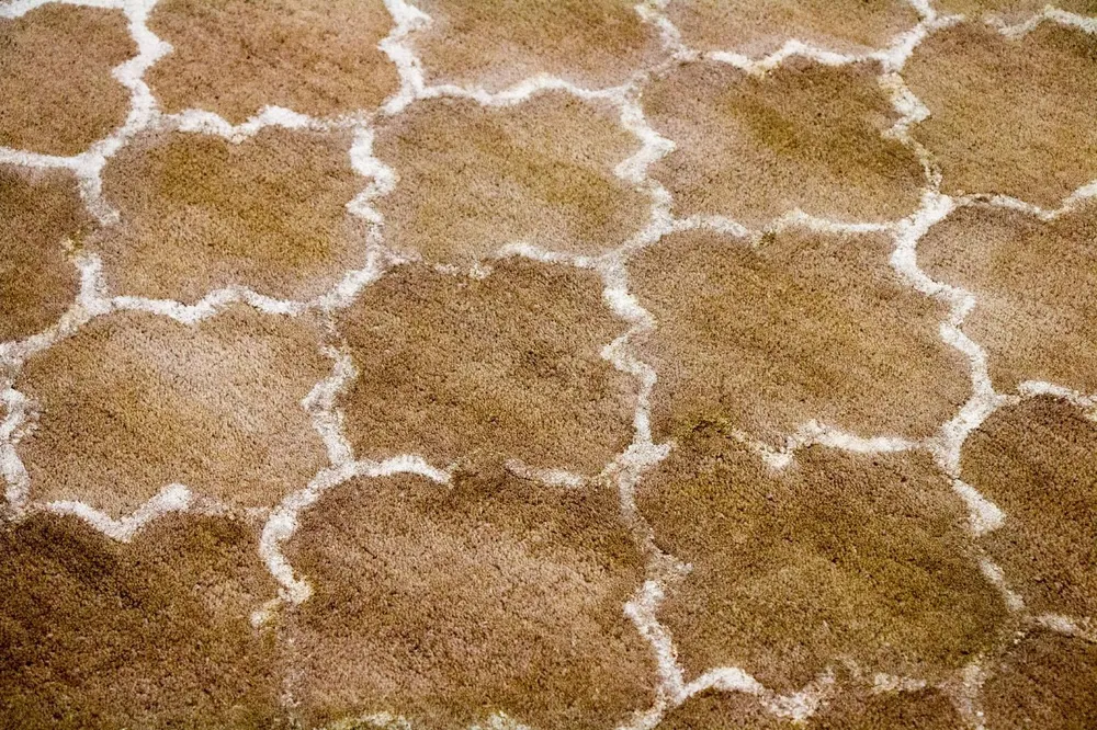 Designer teppe - 230 x 162 cm - beige