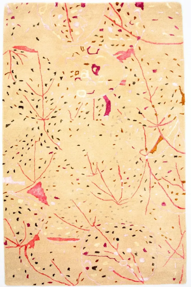 Designer teppe - 244 x 155 cm - beige