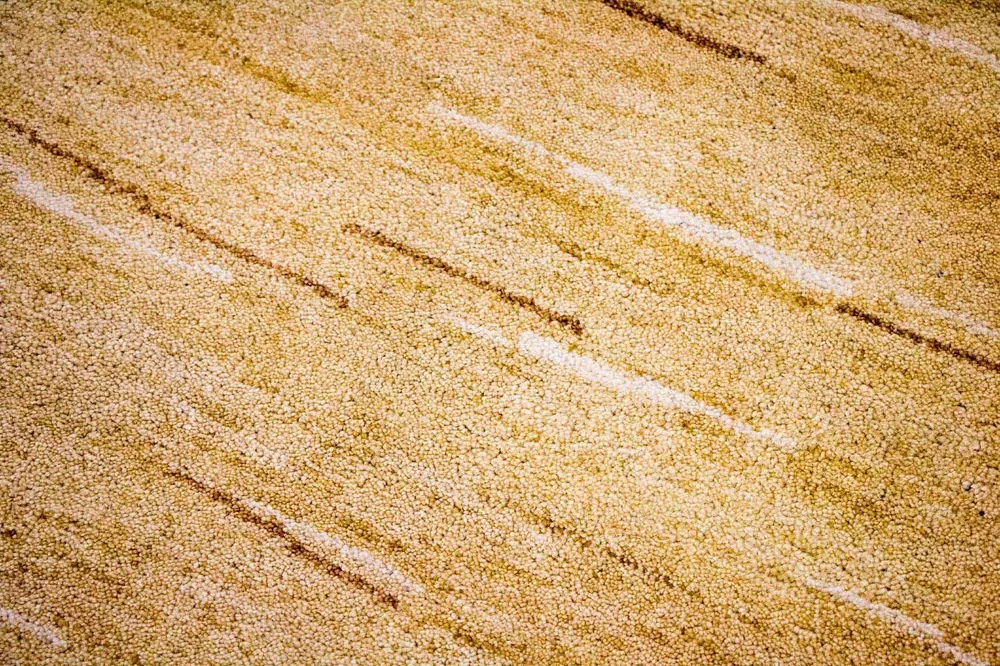 Gabbeh teppe - Indus - 242 x 150 cm - flerfarget