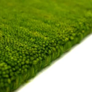 Gabbeh teppe - Indus rundt - 200 x 200 cm - grønn