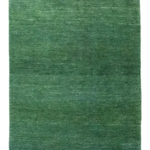 Gabbeh-teppe - persisk - 152 x 106 cm - grønn