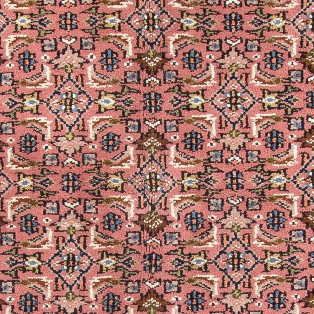 Orientalsk teppe - Bijar - Indus - 240 x 170 cm - laks