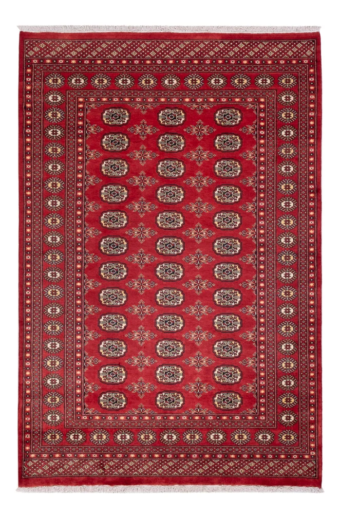 Pakistan teppe - 237 x 158 cm - rød