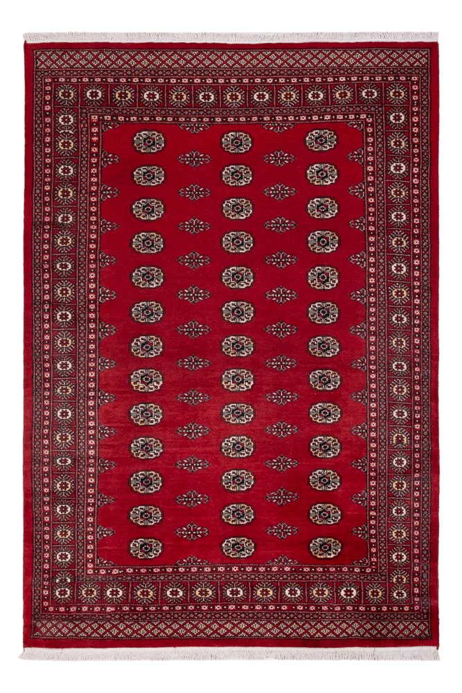Pakistan teppe - 239 x 164 cm - rød