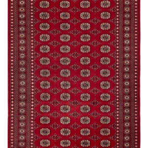 Pakistan teppe - 256 x 167 cm - rød