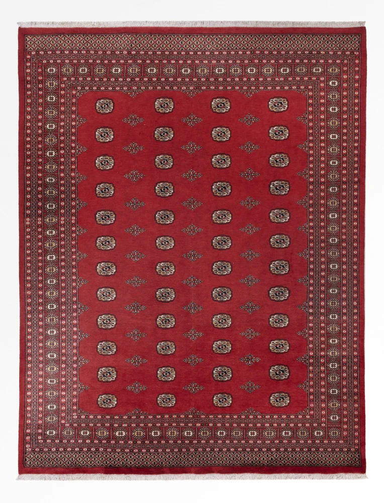 Pakistan teppe - 331 x 251 cm - rød
