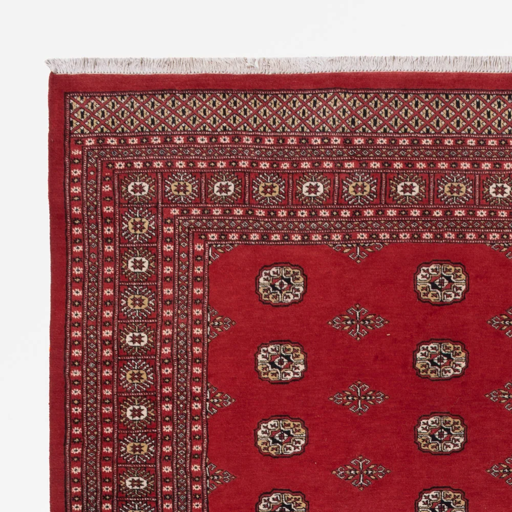 Pakistan teppe - 331 x 251 cm - rød