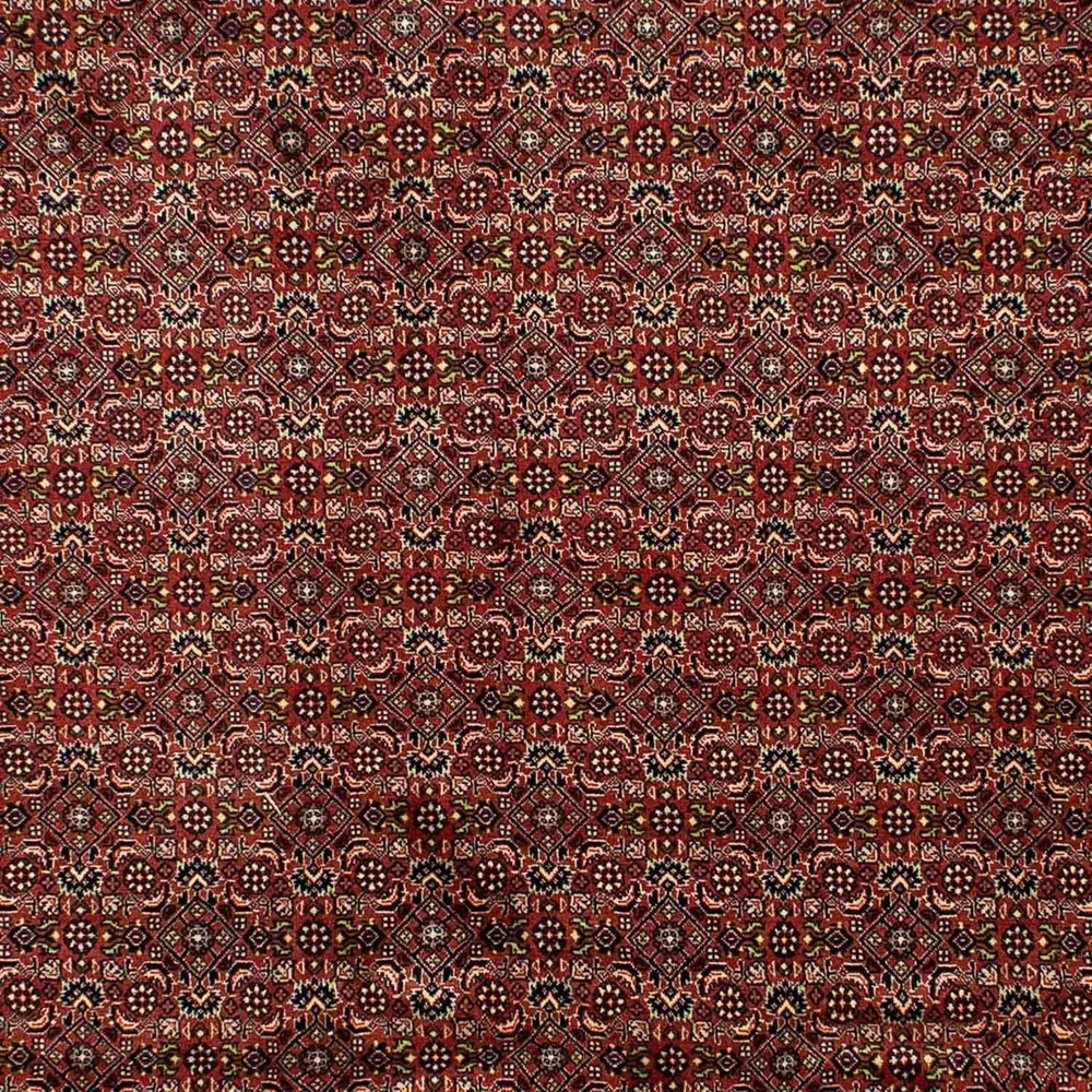 Persisk teppe - Bijar - 298 x 202 cm - brun