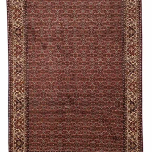 Persisk teppe - Bijar - 298 x 202 cm - brun