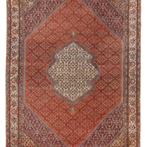 Persisk teppe - Bijar - 312 x 205 cm - oransje