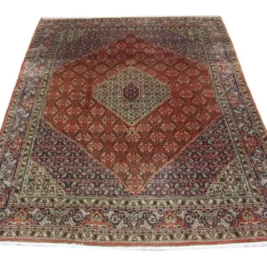 Persisk teppe - Bijar - 335 x 245 cm - brun
