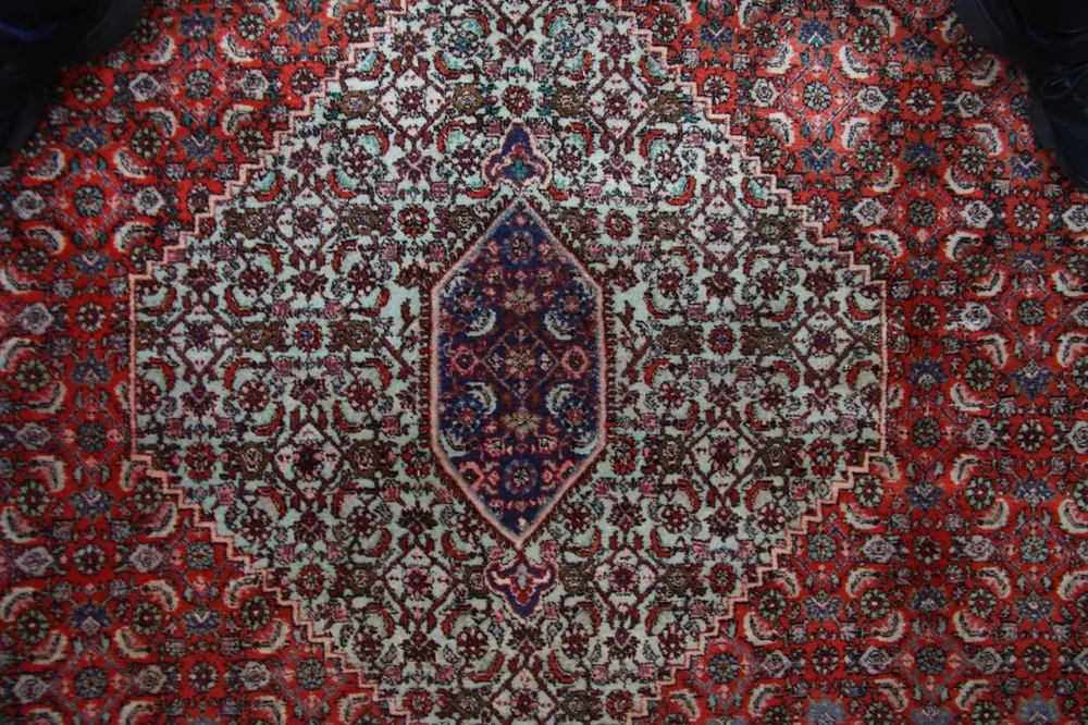 Persisk teppe - Bijar - 335 x 245 cm - brun