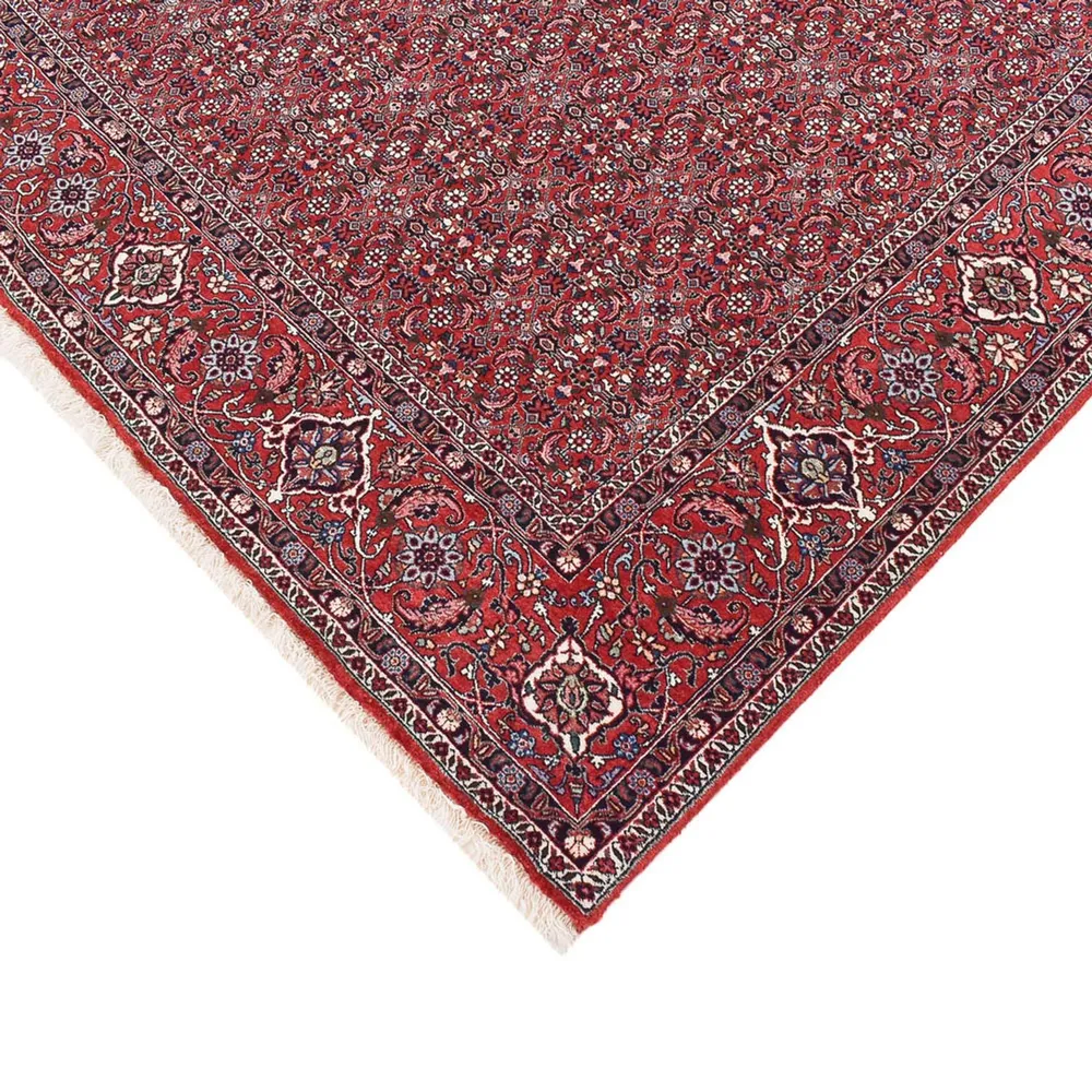 Persisk teppe - Bijar - 347 x 221 cm - rust