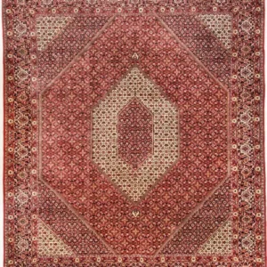 Persisk teppe - Bijar - Royal - 310 x 250 cm - beige