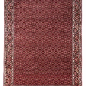 Persisk teppe - Bijar - Royal - 337 x 252 cm - rød