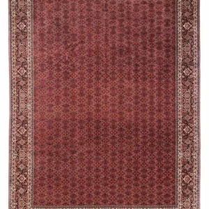 Persisk teppe - Bijar - Royal - 350 x 252 cm - rød