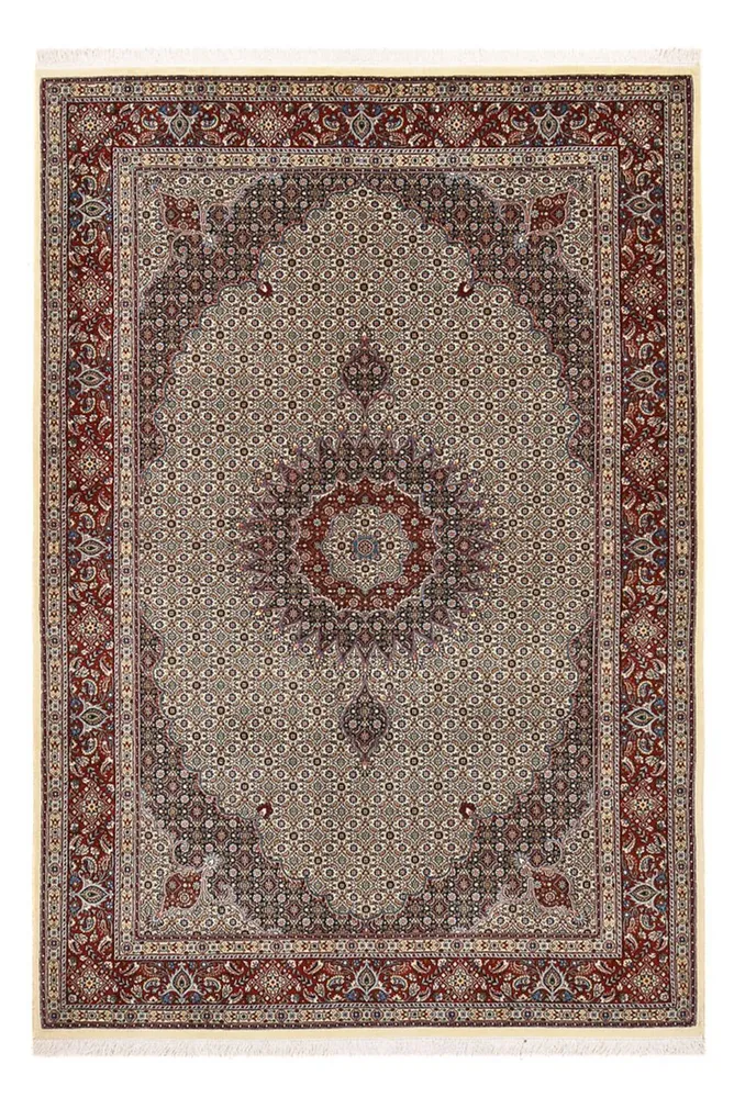 Persisk teppe - klassisk - 300 x 200 cm - taupe