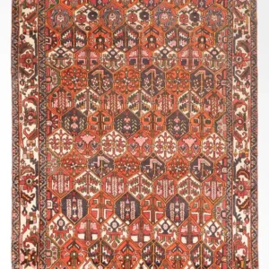 Persisk teppe - Nomadisk - 310 x 210 cm - terrakotta