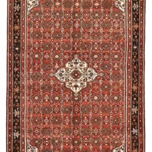Persisk teppe - Nomadisk - 312 x 209 cm - terrakotta
