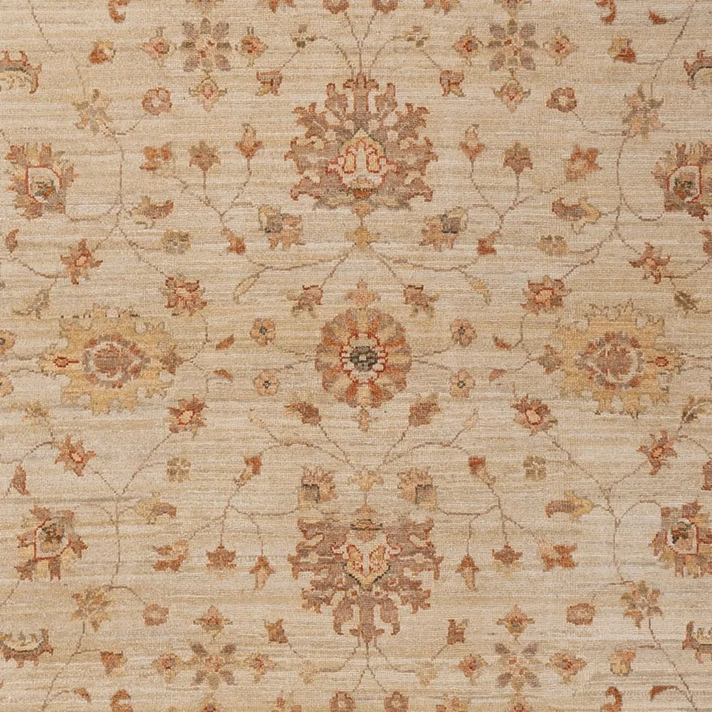 Ziegler Teppe - 306 x 205 cm - beige