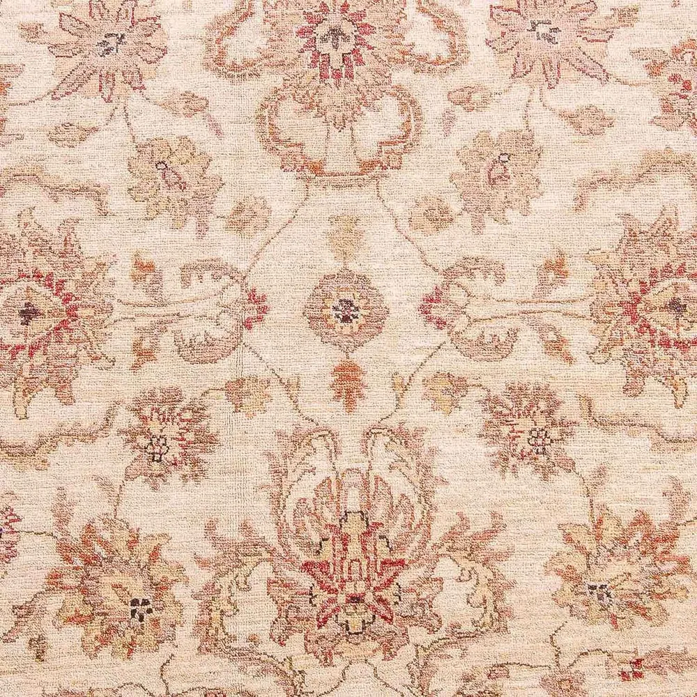 Ziegler Teppe - 309 x 239 cm - beige