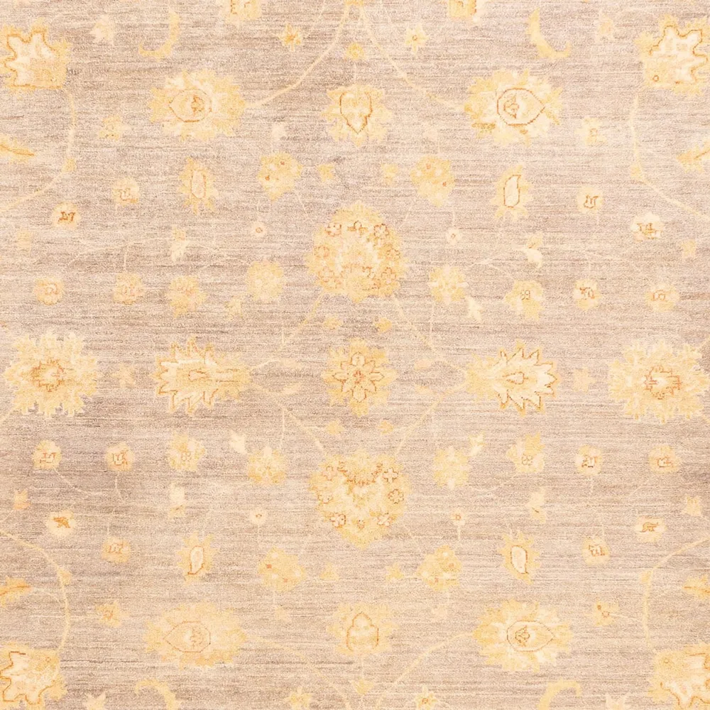 Ziegler Teppe - 354 x 260 cm - beige