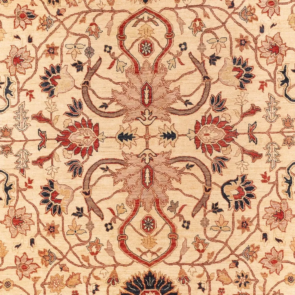 Ziegler Teppe - 365 x 276 cm - beige