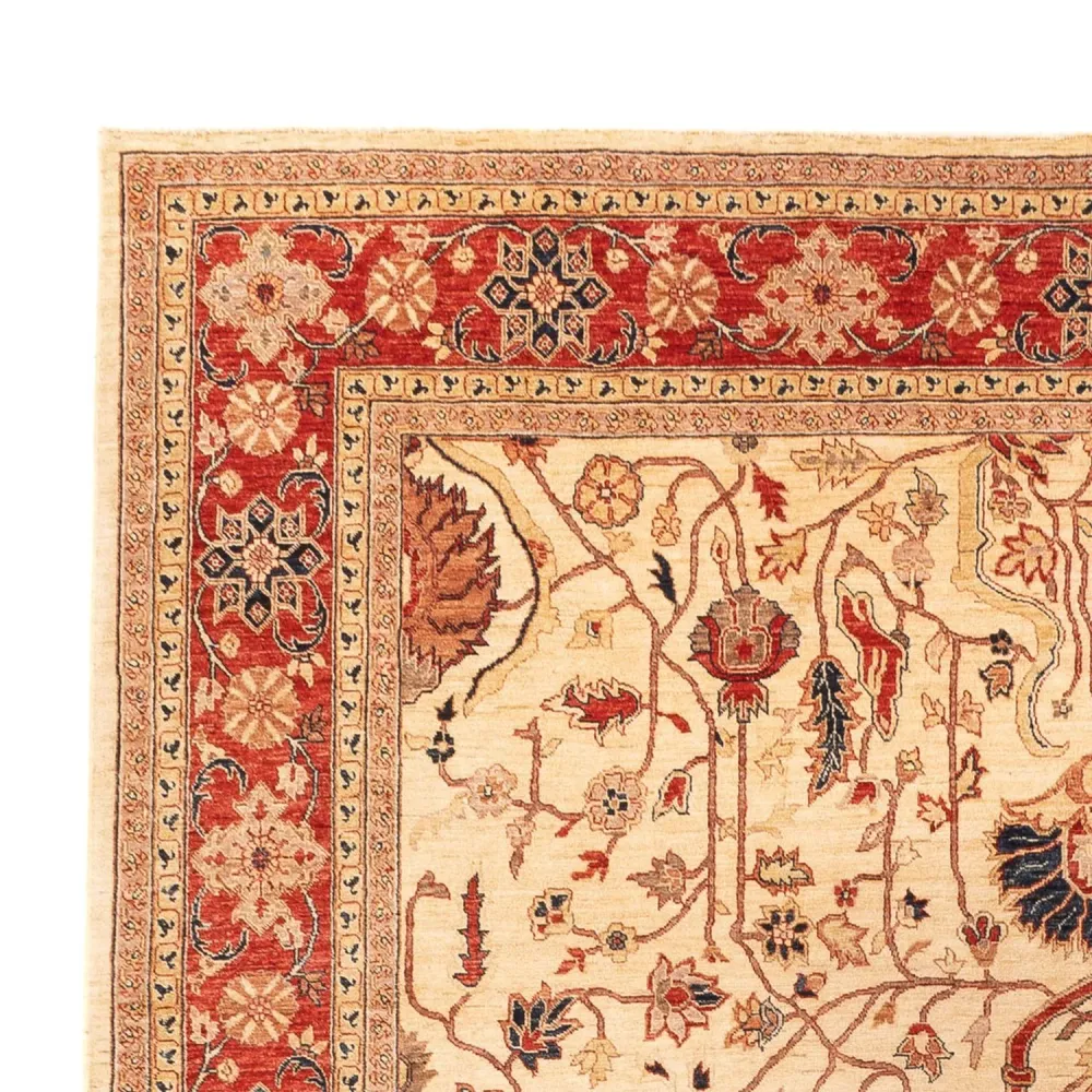 Ziegler Teppe - 365 x 276 cm - beige