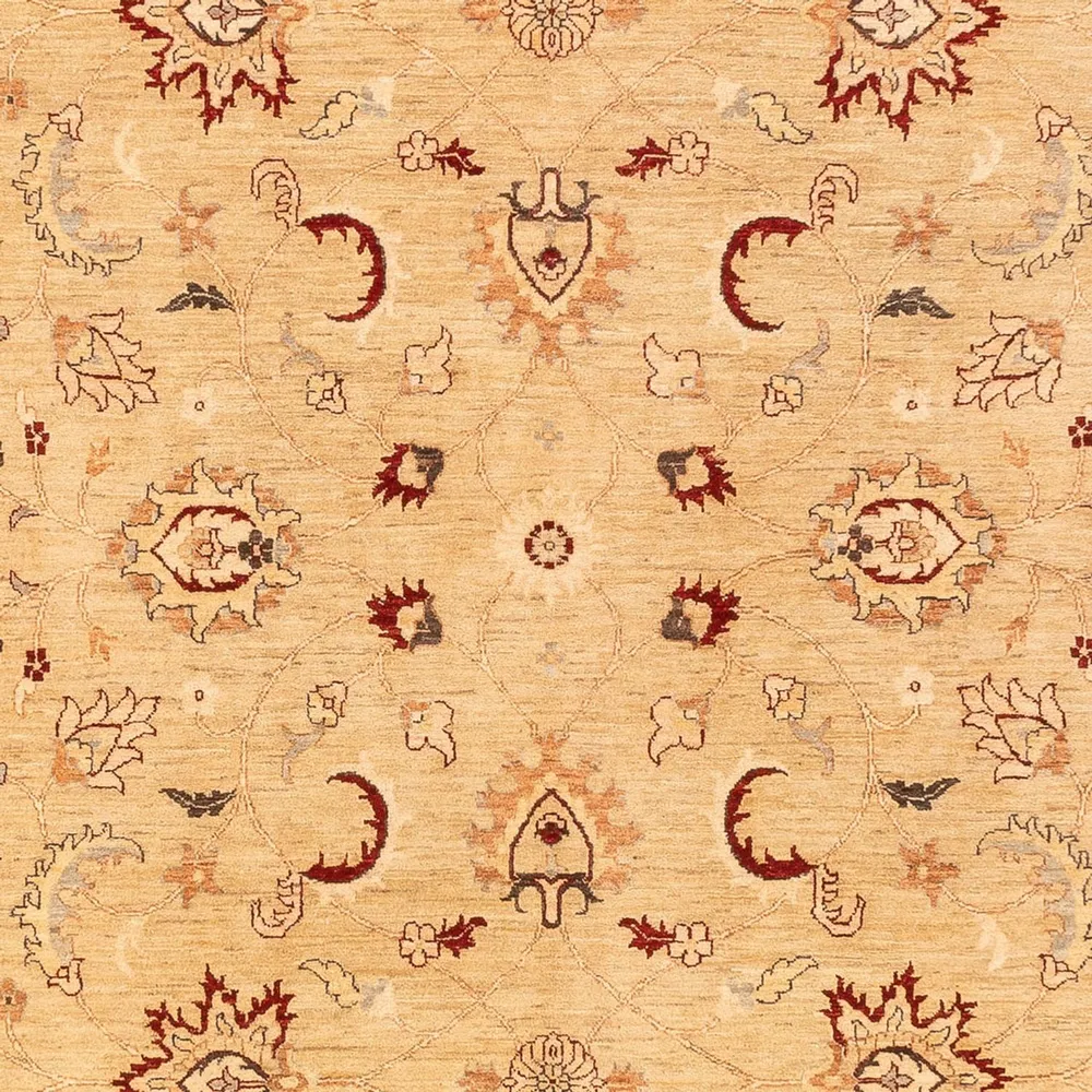 Ziegler Teppe - 383 x 271 cm - beige
