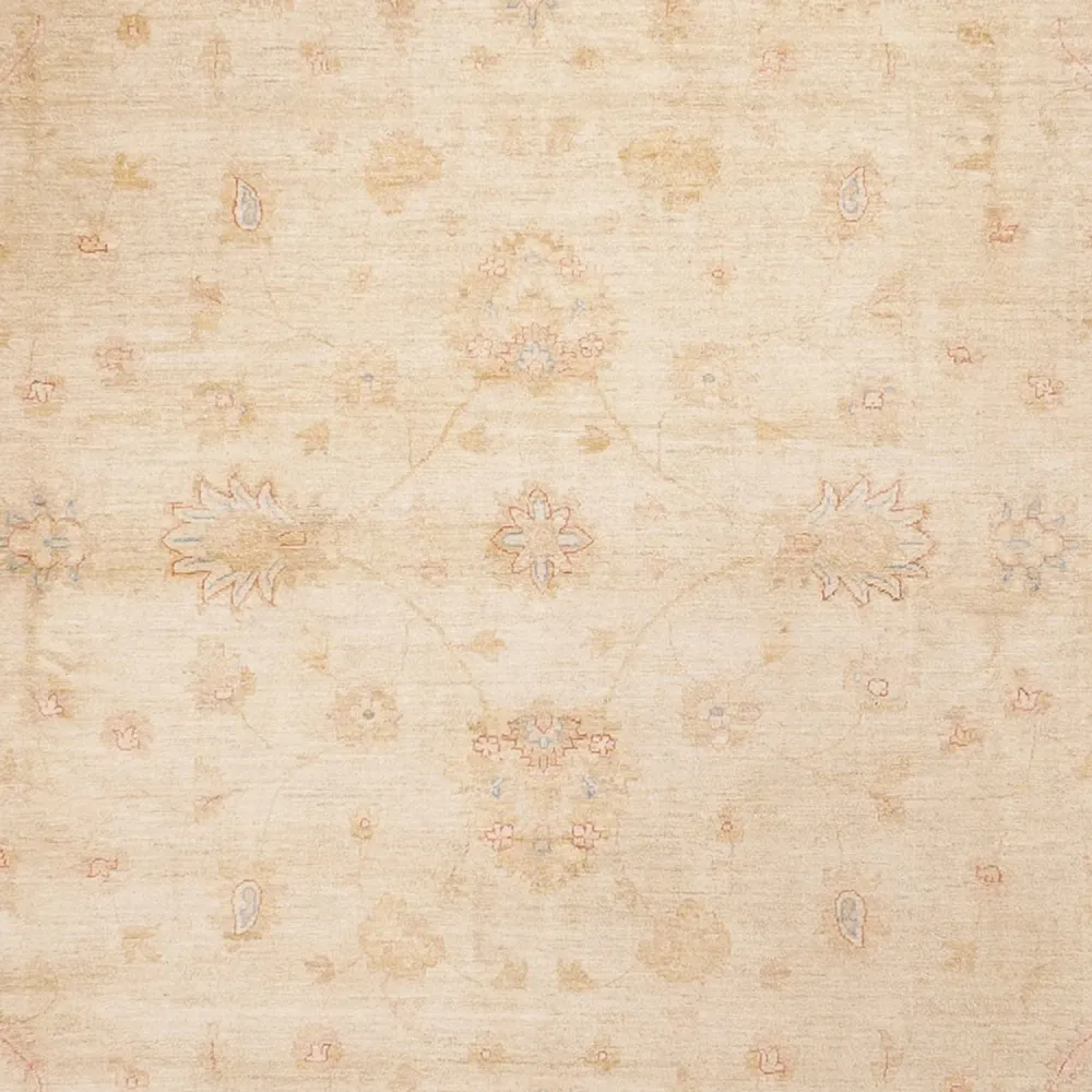 Ziegler Teppe - 488 x 398 cm - beige