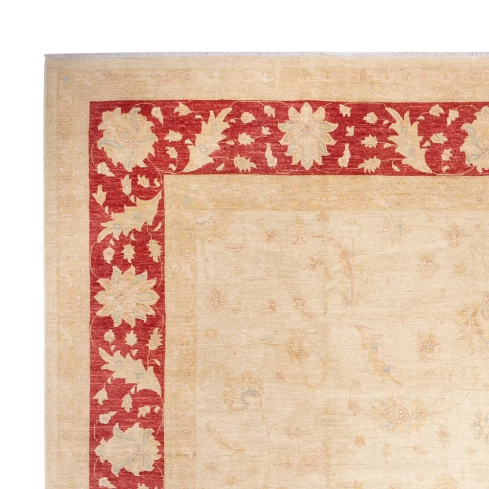Ziegler Teppe - 488 x 398 cm - beige