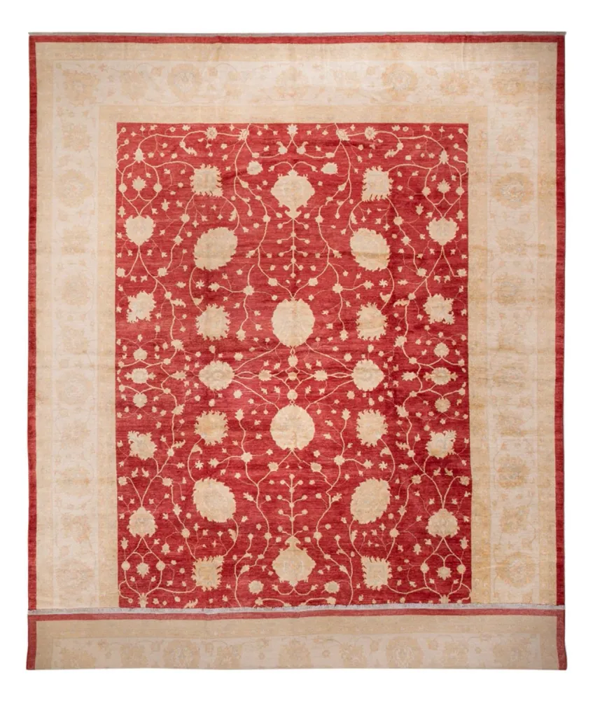 Ziegler Teppe - 521 x 400 cm - beige