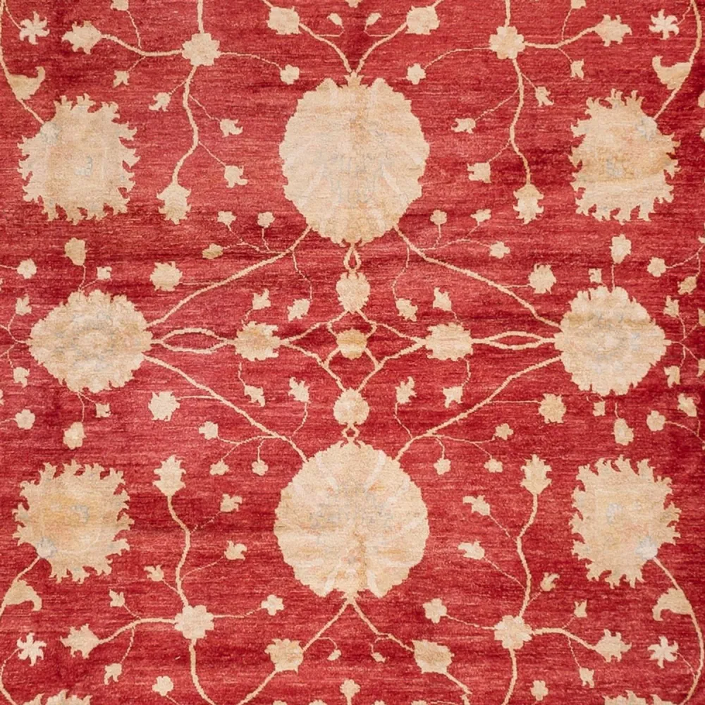 Ziegler Teppe - 521 x 400 cm - beige