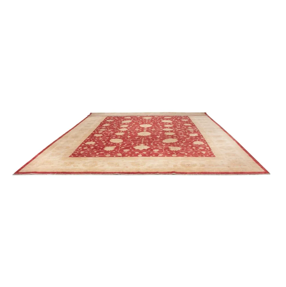 Ziegler Teppe - 521 x 400 cm - beige
