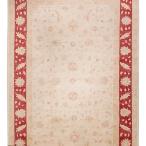 Ziegler Teppe - 538 x 350 cm - beige