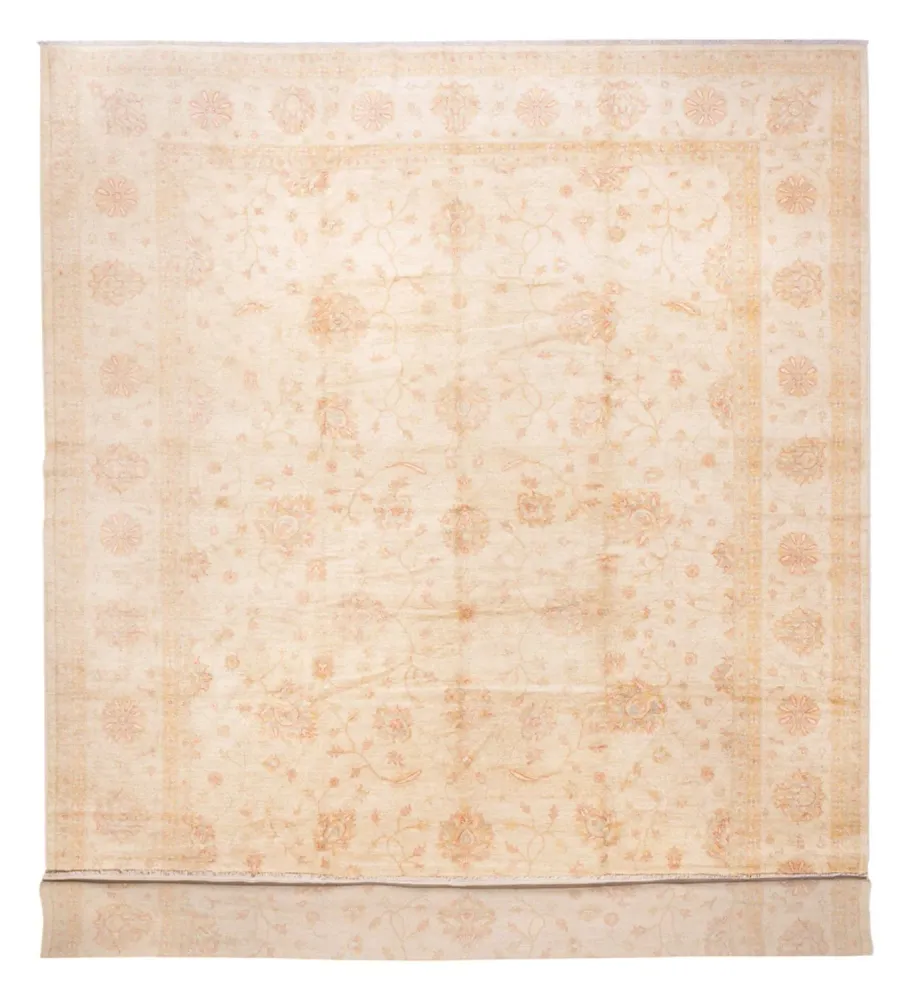 Ziegler Teppe - 592 x 403 cm - beige