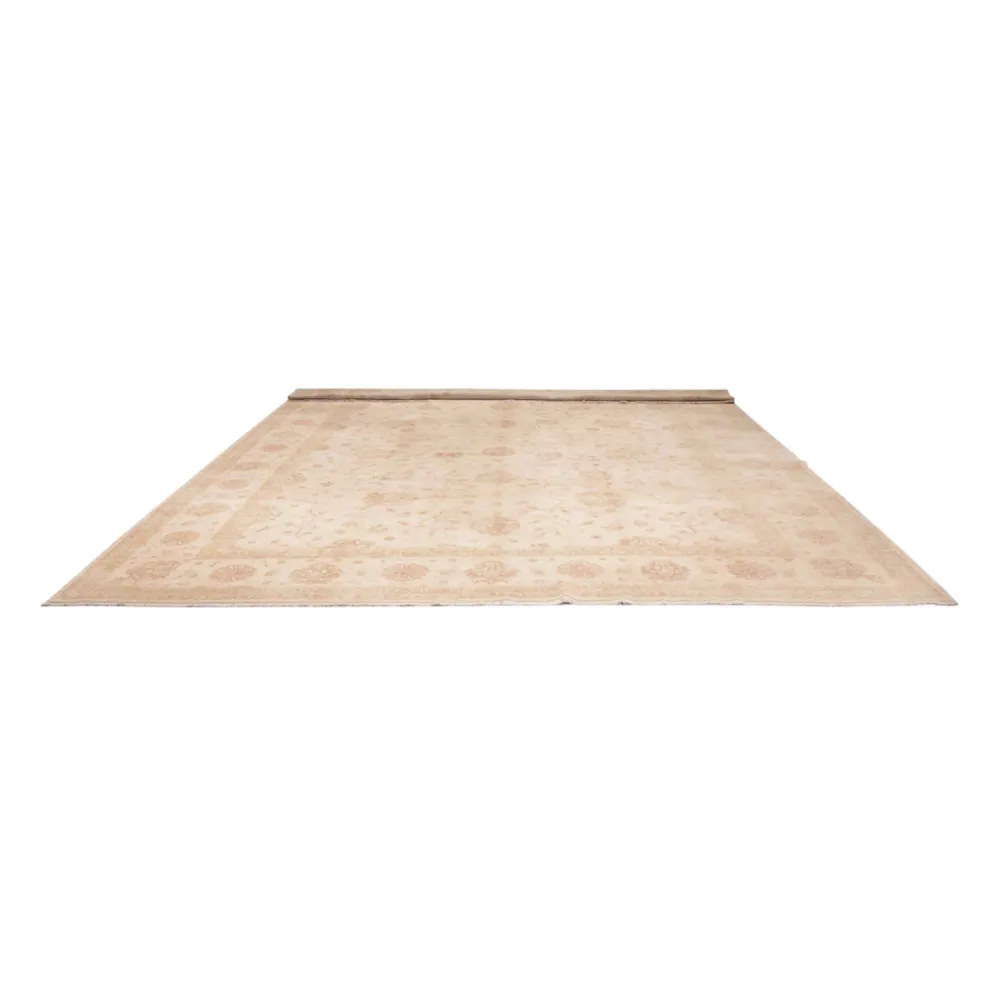Ziegler Teppe - 592 x 403 cm - beige