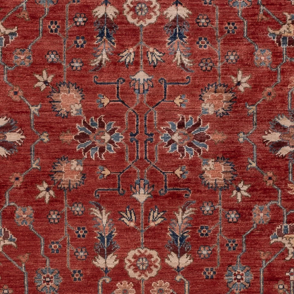 Ziegler Teppe - Kazak - 292 x 217 cm - rød